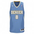 /products/nba-gallinari-jersey-swingman/